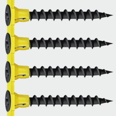 Collated Drywall Screws