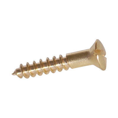 Brass Slotted Raised Head Screws