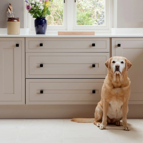 Cabinet & Kitchen Fittings